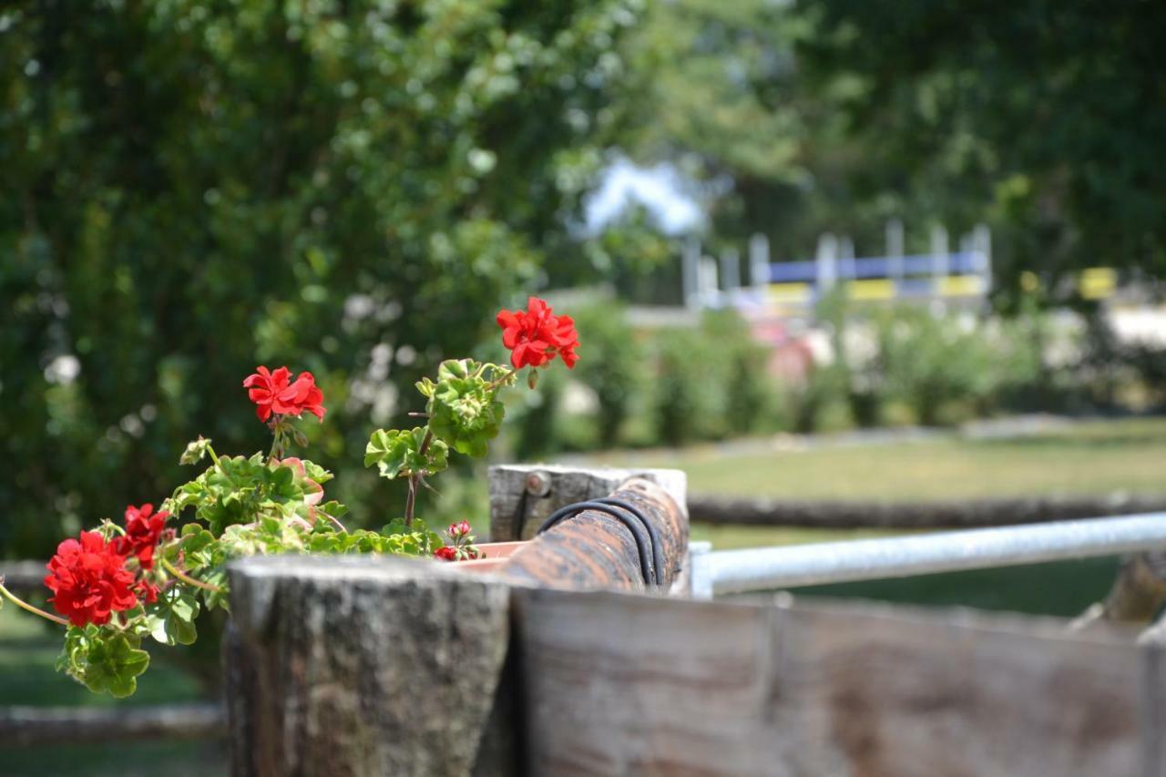 Gite Au Haras Les Aubiers ภายนอก รูปภาพ