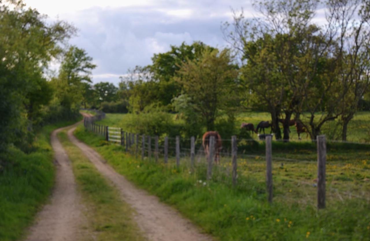 Gite Au Haras Les Aubiers ภายนอก รูปภาพ